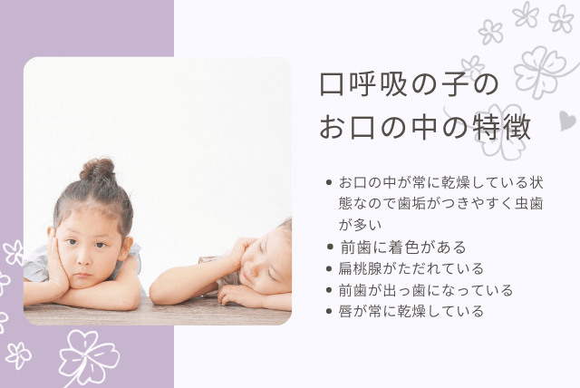 口呼吸の子のお口の特徴