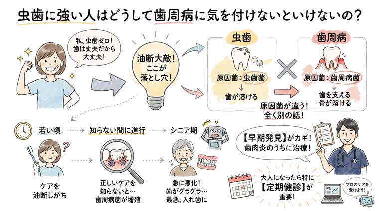 虫歯に強い人はどうして歯周病に気を付けないといけないの？の図解