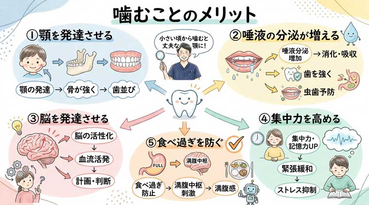 噛むことのメリットの図解