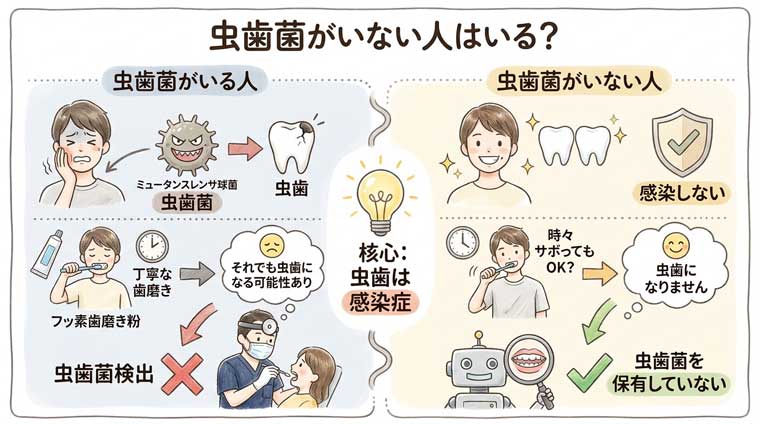 虫歯菌がいない人はいる？の図解