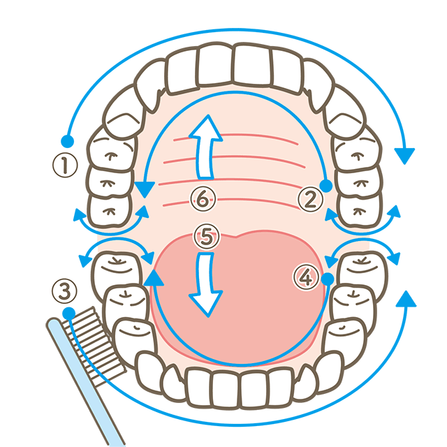 歯磨きの順番