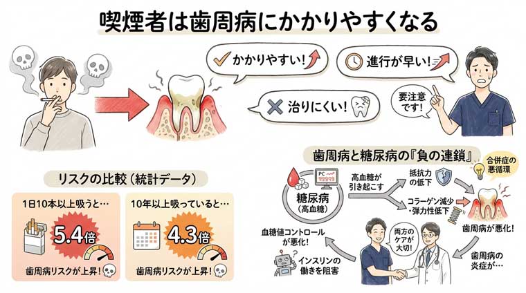 喫煙者は歯周病にかかりやすくなるの図解