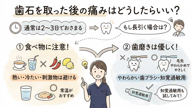 歯石を取った後の痛みはどうしたらいい？の図解