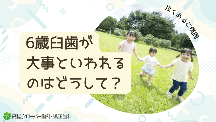 6歳臼歯が大事といわれるのはどうして？