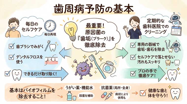 歯周病予防の基本の図解
