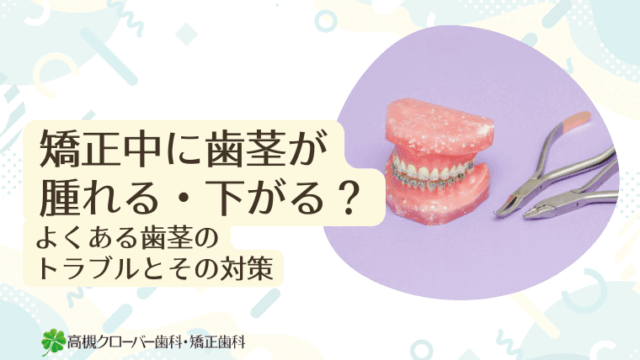 矯正中に歯茎が腫れる・下がる？