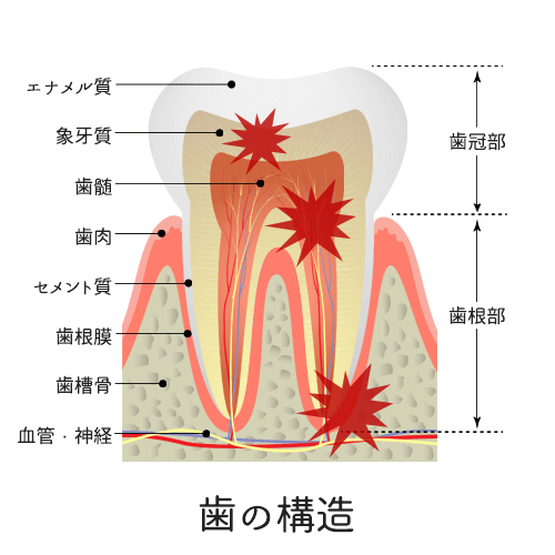 ̍\E̒ɂ݂oꏊ